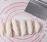 Stainless Steel Scraper