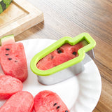 Stainless Steel Popsicle Mold